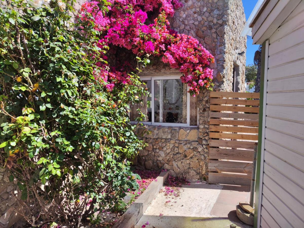 Habitacion Boho Vejer de la Frontera Dış mekan fotoğraf
